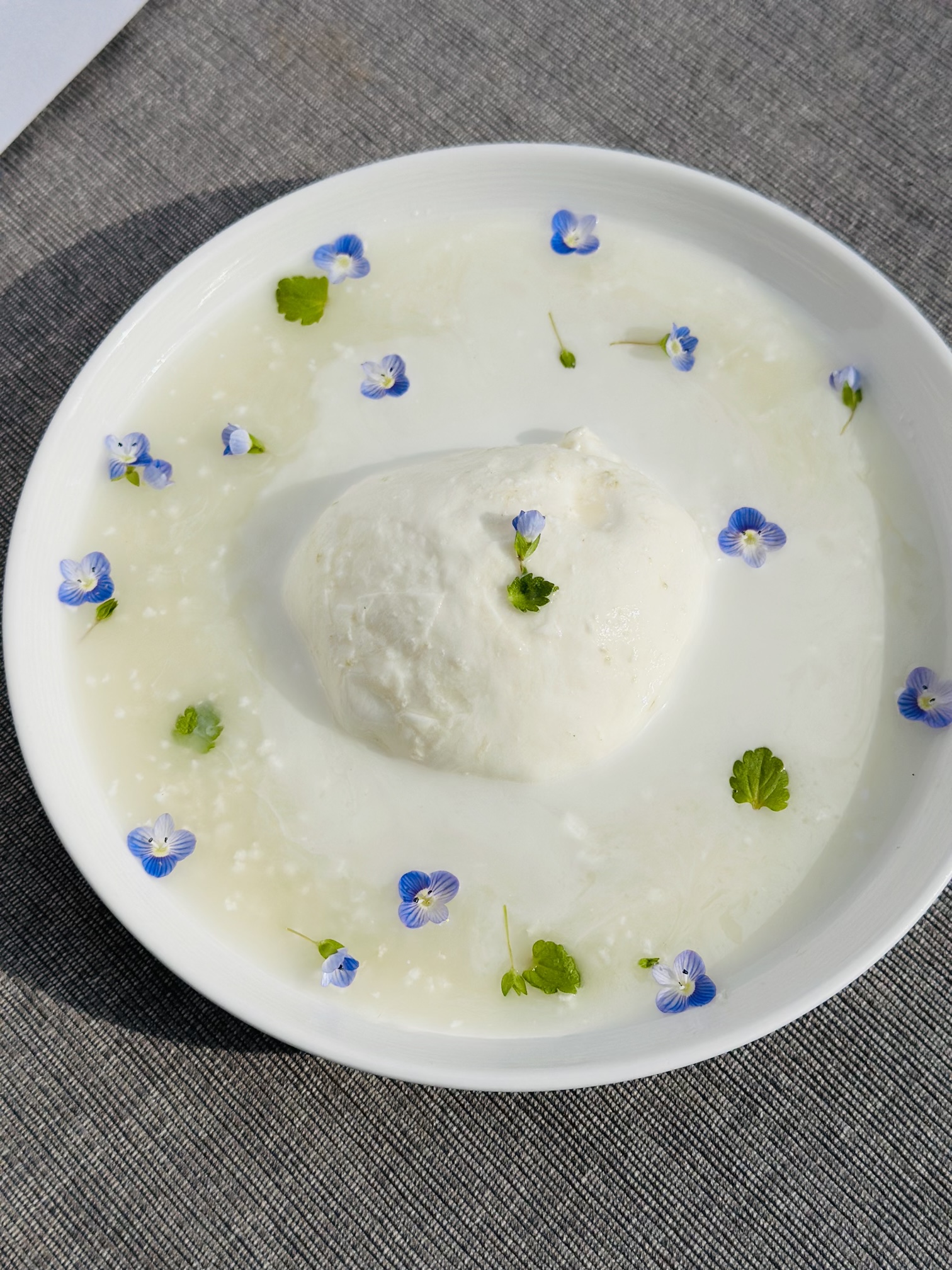 野生麹熟成モッツァレラチーズ